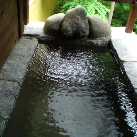 Shin-Matsuba Ryokan