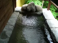 新松葉旅館 - 温泉