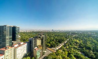 Hyatt Regency Mexico City