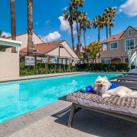 Sonesta ES Suites Huntington Beach Fountain Valley