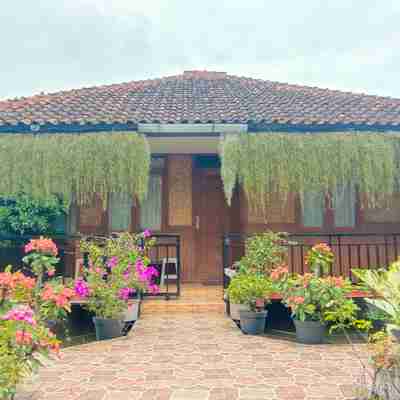 Villa Edelweiss Hotel Exterior