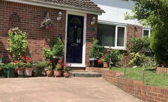 31 Queens Road - Housity