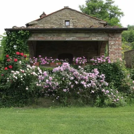 Gellino by PosarelliVillas