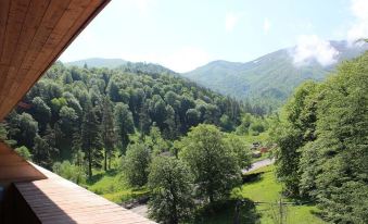 The Valley Bakuriani MountInn