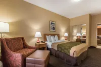 Econo Lodge Inn & Suites Foley-North Gulf Shores Hôtels à : Foley