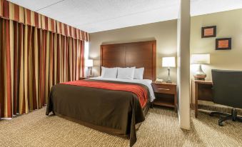 Comfort Inn & Suites Denver Northfield