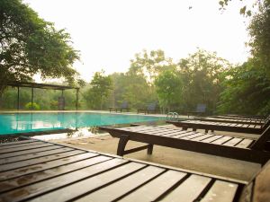 Pinthaliya Resort