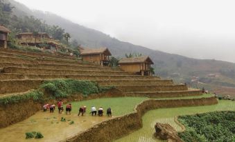 Eco Palms House - Sapa Retreat