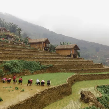 Eco Palms House - Sapa Retreat