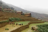 Eco Palms House - Sapa Retreat
