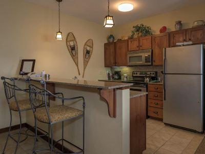 Condo, 1 King Bed (0 Br :  Soaring Eagle 308)