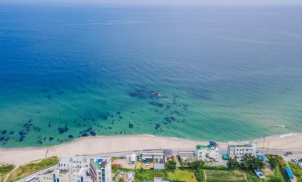 10. 달을삼킨바다..