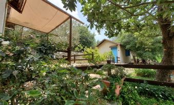 Rawa2 Village - Housity