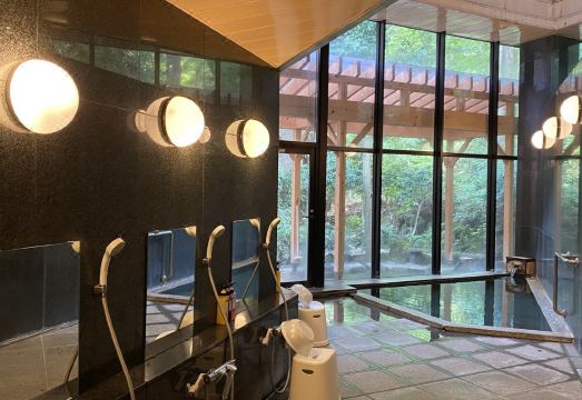 하코네 코와키엔 미야마푸린 온천 사진