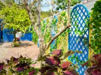 Haitang Garden Homestay Hotels near Baodingwan