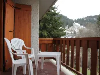 Dauphin 7