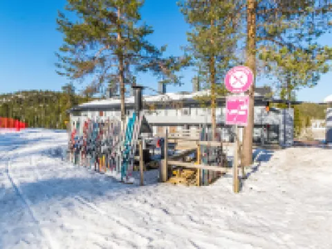 Vuosselinhelmi C6