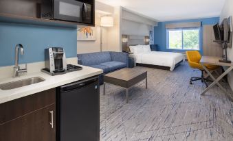 Holiday Inn Express & Suites Tampa-I-75 @ Bruce B. Downs
