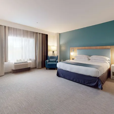 SunCoast Park Hotel Anaheim Resort, Tapestry by Hilton