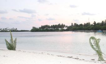 a serene beach scene with a palm tree in the distance , surrounded by sand and water at Sunshine Lodge