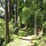 Nakagawa Ryokan Hotels in Hashimoto
