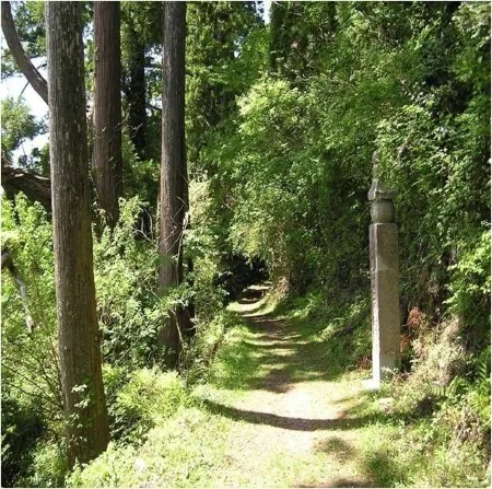 Nakagawa Ryokan Отели в г. Кудояма