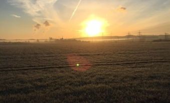 a field with a field of green grass and the sun setting in the background at The Horseshoe & Castle