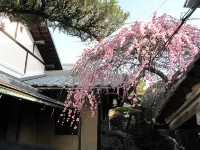 ゲストハウス 奈良バックパッカーズ Guesthouse Nara Backpackers - ホステル