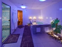 Premium Business Hotel Bratislava - spa