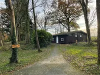11 Tan-y-Coed Woodland Lodge - Pools