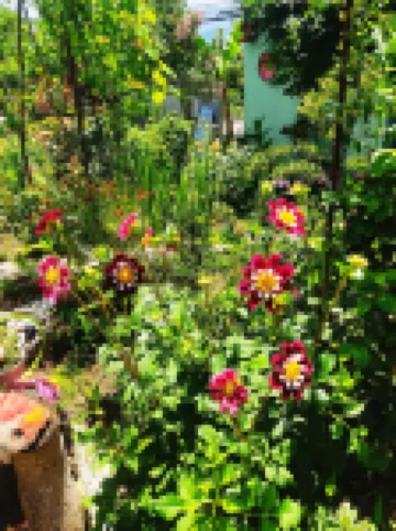 Grandmother Naziko Hoteles en 