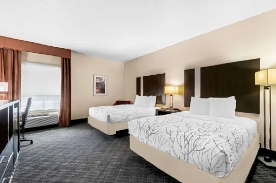 Best Western Boerne Inn  Suites