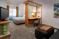 SpringHill Suites Alexandria Hotels in Mount Vernon