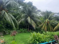 Guava Grove Resort & Villas Hotels in der Nähe von Roatan Institute for Marine Sciences