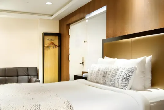 麥迪遜萊斯酒店