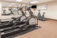 Baymont by Wyndham Indianapolis South - gimnasio
