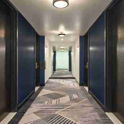 Limelight Boulder Others