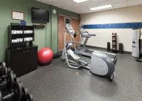 Hampton Inn & Suites Westford-Chelmsford - Gym