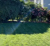 8 BR 8 bath, Great for Groups/Retreats, Complete New Renovation, Walk Downtown Hotel dekat Caltrain/Hayward Park