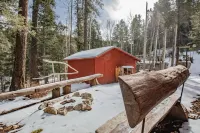 Cozy cottage nestled in the middle of Cloudcroft