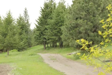 Montana Mountain Guest Cabin