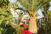 Cretan Garden Hotel