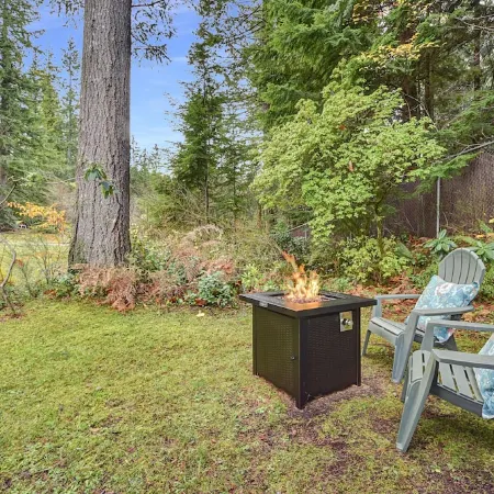Tiny cabin nestled in the woods