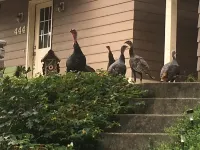 Charming Elkton Cottage - Nearby Attractions Await-Must Stay 28 Days 엘크톤 호텔