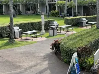 Napili Shores A-201 - Ocean Front - Book Now!