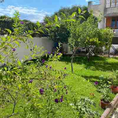 Apartment 20 Meters from the Sea Hotel Exterior