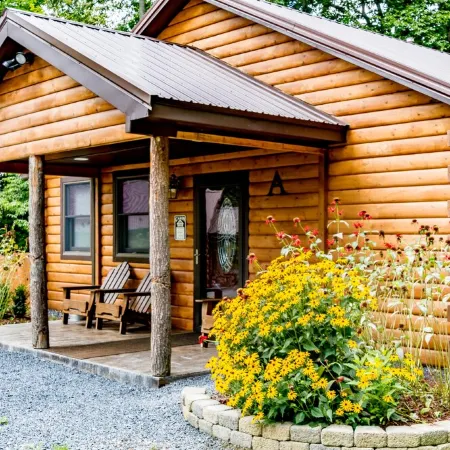 Log Cabin Retreat, Cayuga Wine Trail, Dogs Welcome, Open Year-round