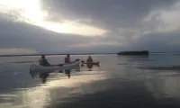 Serenity in Nature