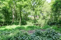 Look out at the treetops at the cozy Paoli Nest. Near Epic Systems and Madison.