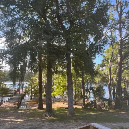 Lakefront tiny cabin amazing view on Lake Marion! Pet friendly & sleeps 6